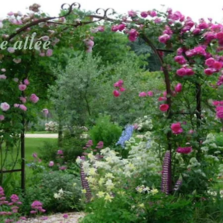 B&B Chambres D'hotes Le Clos Des Fontaines *